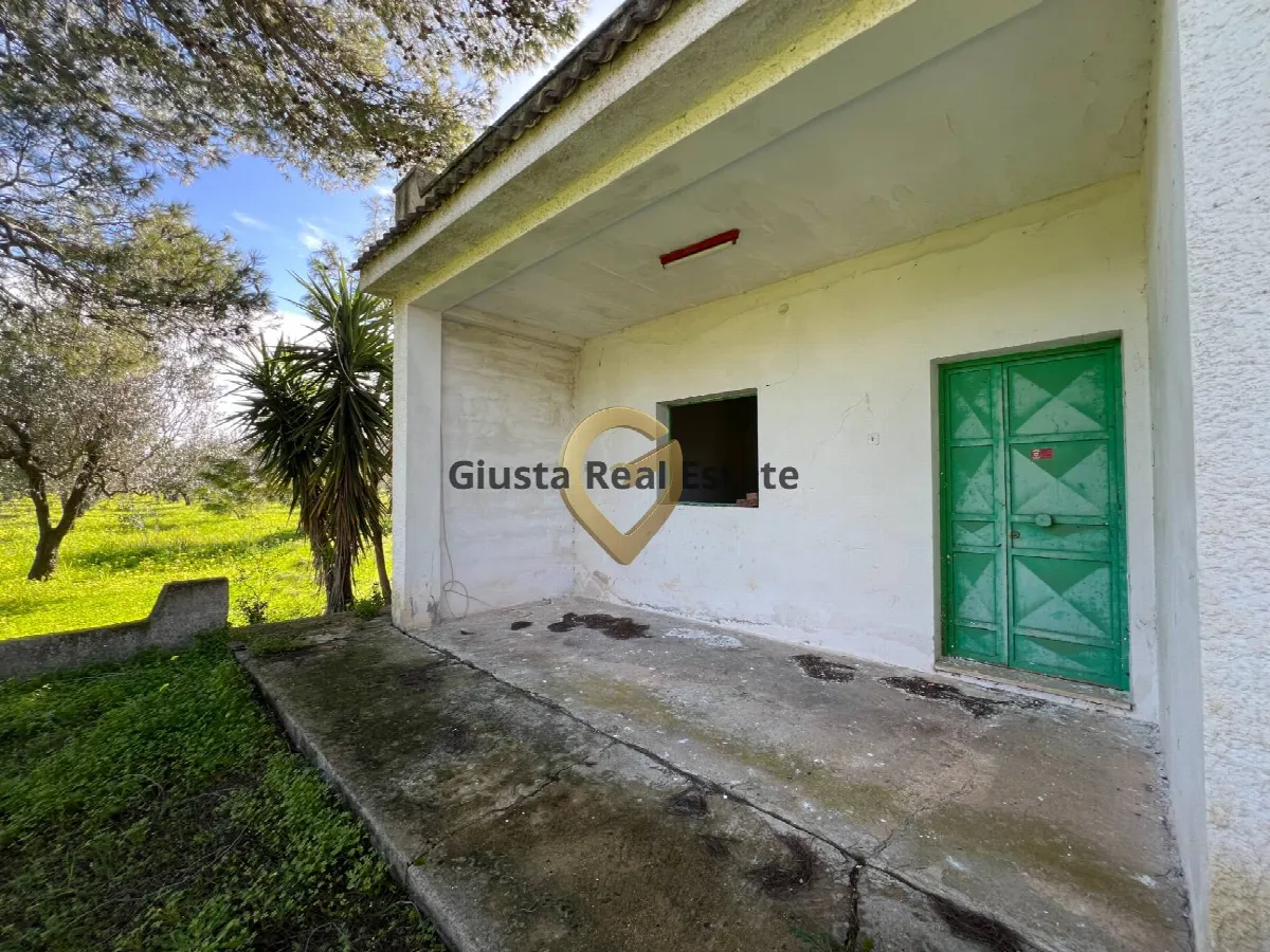 Villa in vendita a Mesagne - foto 4