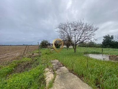 Rustico/Casale in vendita a Brindisi, Sant... - foto 10