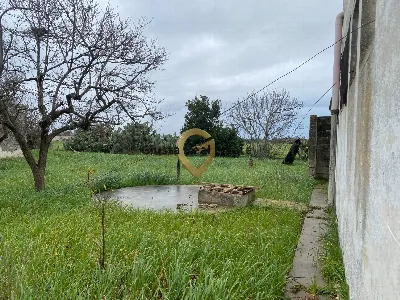 Rustico/Casale in vendita a Brindisi, Sant... - foto 8