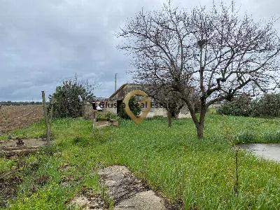 Rustico/Casale in vendita a Brindisi, Sant... - foto 9