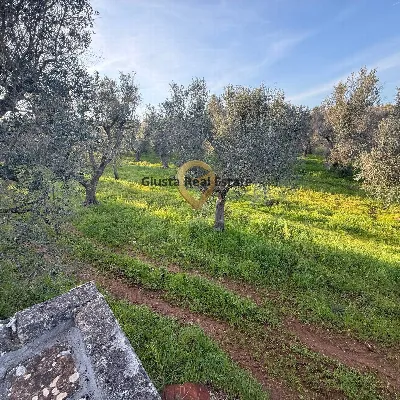 Villa in vendita a Latiano - foto 7