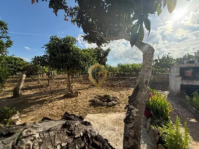 Villa in vendita a Latiano - foto 7