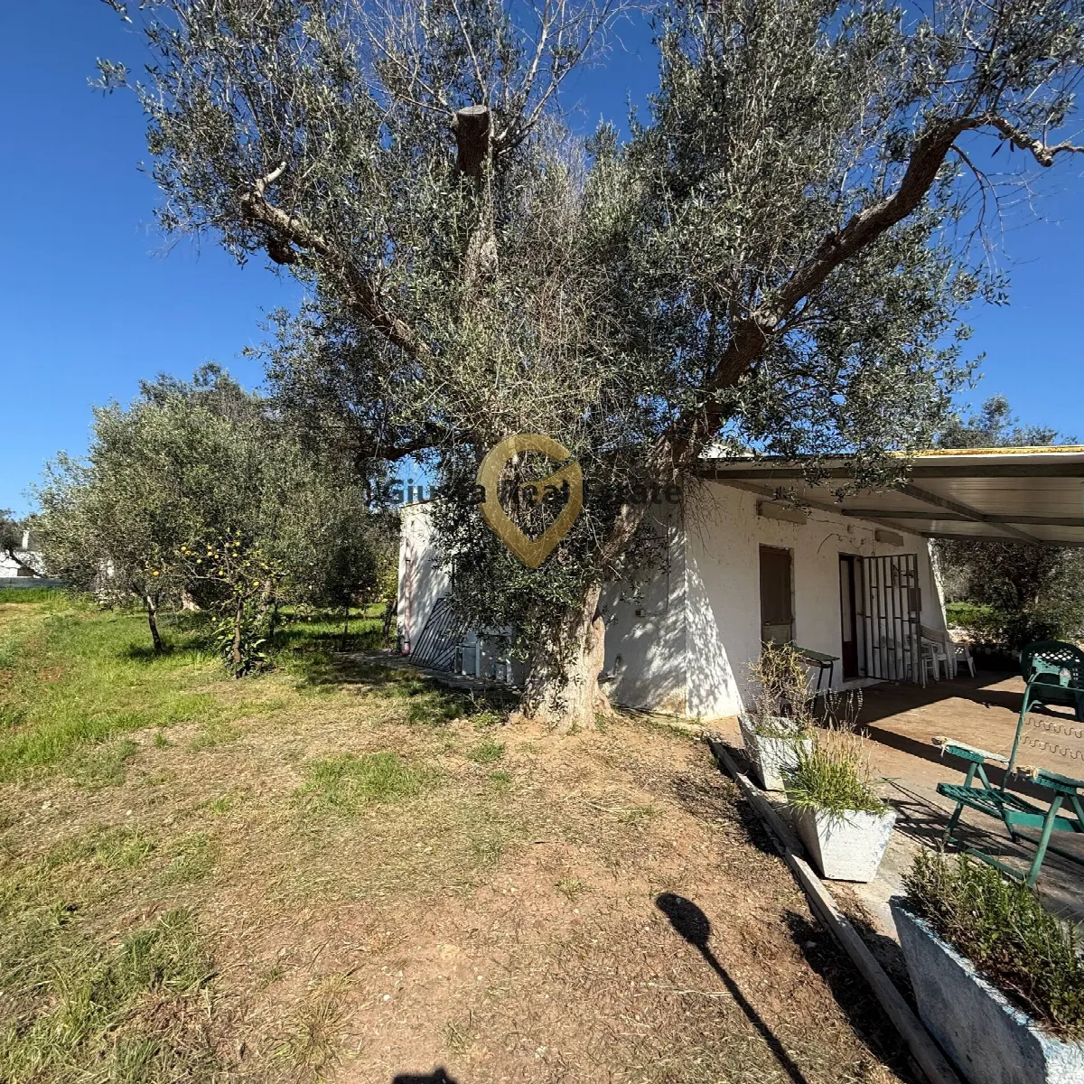 Villa in vendita a Latiano - foto 3