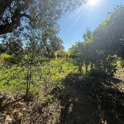 Villa in vendita a Latiano - foto 8