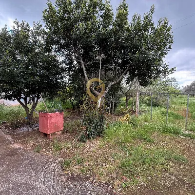 Villa in vendita a Latiano - foto 10