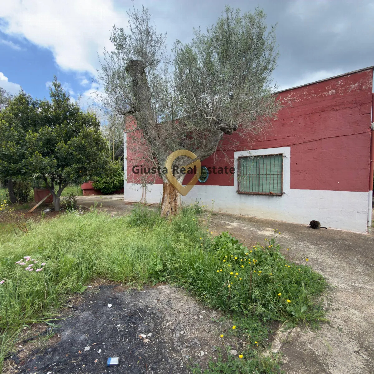 Villa in vendita a Latiano - foto 2