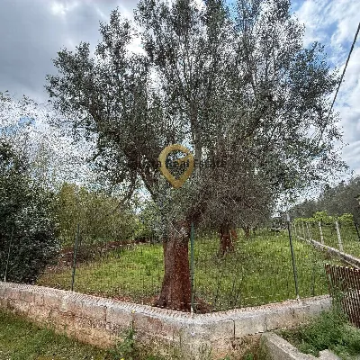 Villa in vendita a Latiano - foto 4