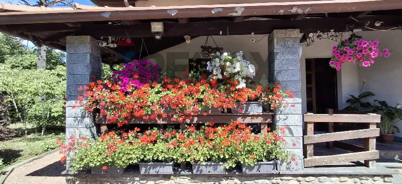 Villa in vendita a Paruzzaro - foto 5