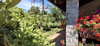 Villa in vendita a Paruzzaro - foto 6