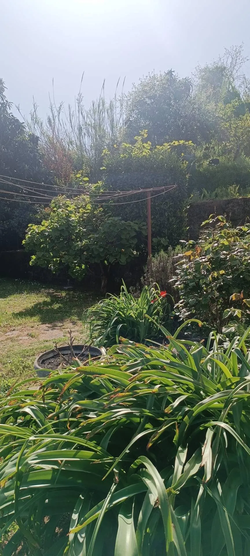 Villa in vendita a Follo - foto 5