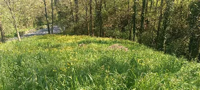 Rustico/Casale in vendita a Aulla - foto 10