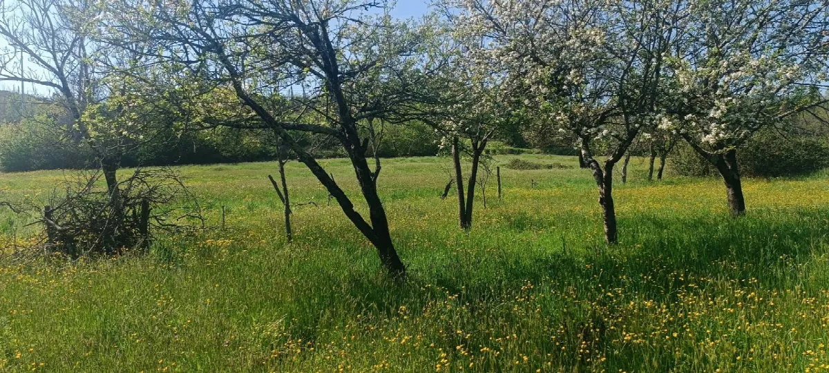 Rustico/Casale in vendita ad Aulla - foto 4