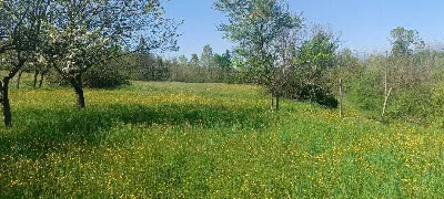 Rustico/Casale in vendita a Aulla - foto 6