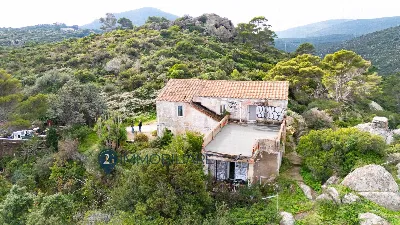 Villa in vendita a Capraia Isola - foto 3