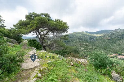 Villa in vendita a Capraia Isola - foto 4