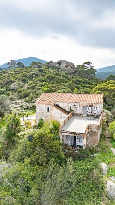 Villa in vendita a Capraia Isola - foto 5