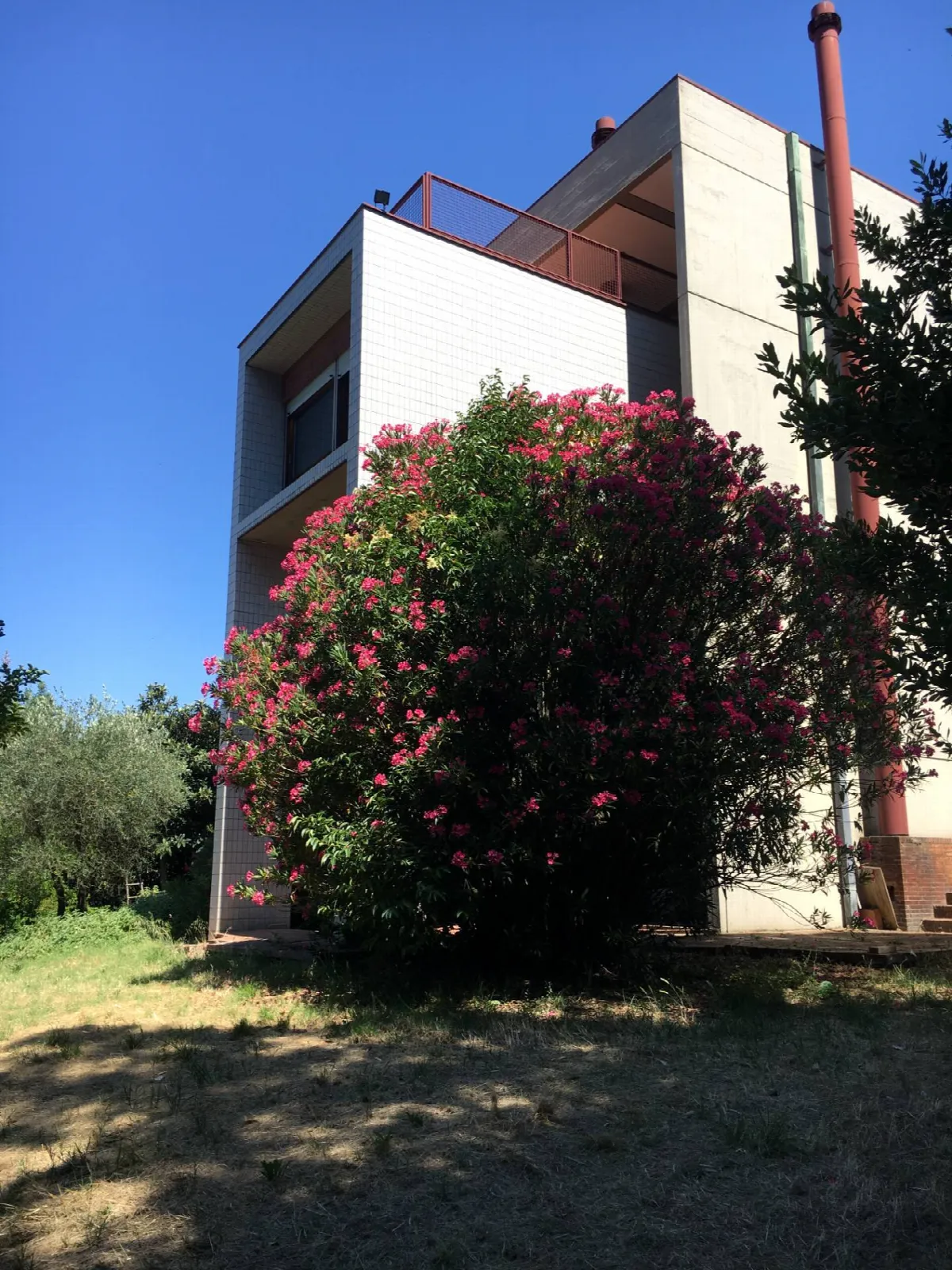 Villa in vendita a Signa - foto 2