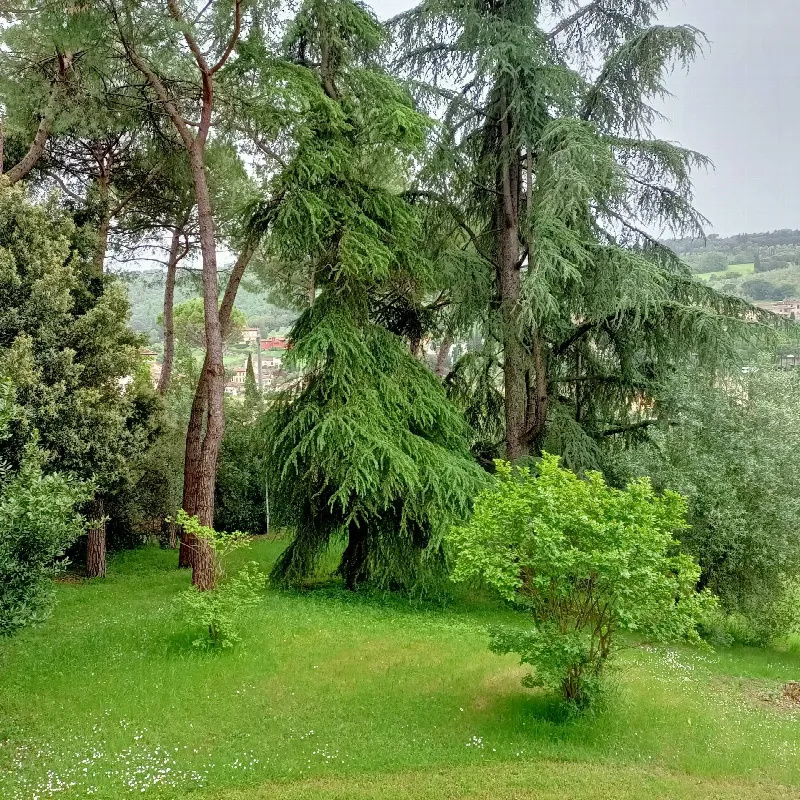 Villa in vendita a Signa - foto 8