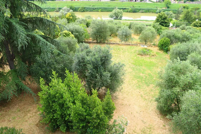 Villa in vendita a Signa - foto 9