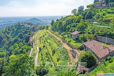 Villa in vendita a Bergamo, Colli - foto 3