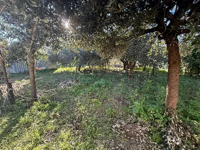 Villa in vendita a Eboli - foto 10