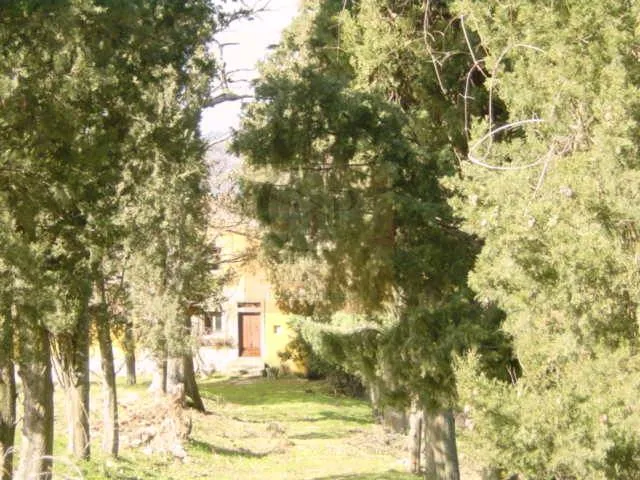 Rustico/Casale in vendita a Rufina - foto 5
