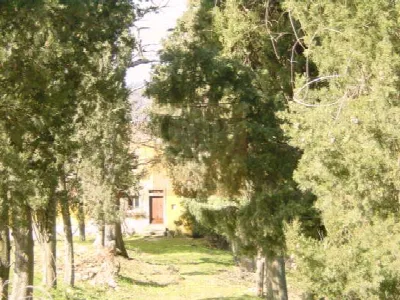 Rustico/Casale in vendita a Rufina - foto 5