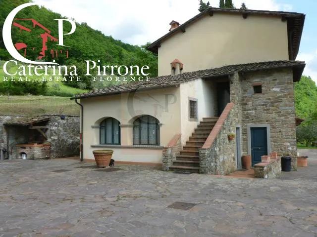 Rustico/Casale in vendita a Dicomano - foto 1