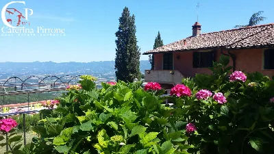Rustico/Casale in vendita a Vicchio - foto 2