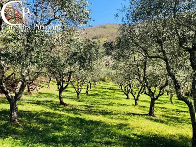 Rustico/Casale in vendita a Dicomano - foto 10