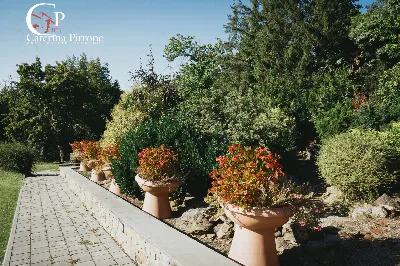Rustico/Casale in vendita a Arezzo, San ze... - foto 7