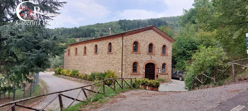 Rustico/Casale in vendita a Dicomano - foto 1
