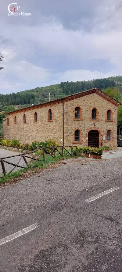 Rustico/Casale in vendita a Dicomano - foto 2