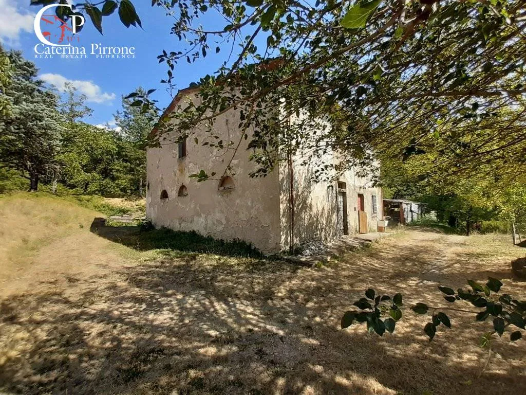 Rustico/Casale in vendita a Dicomano - foto 3