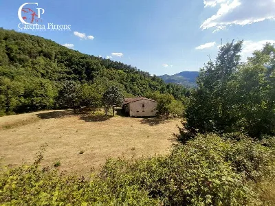 Rustico/Casale in vendita a Dicomano - foto 7