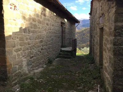 Rustico/Casale in vendita a San Godenzo - foto 10