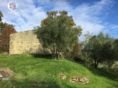 Rustico/Casale in vendita a San Godenzo - foto 6