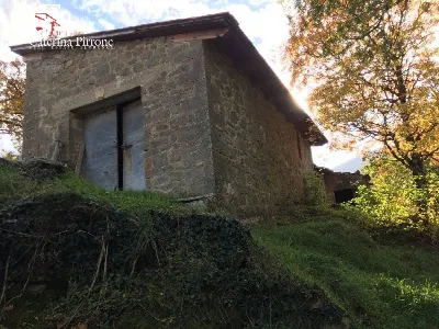 Rustico/Casale in vendita a San Godenzo - foto 7