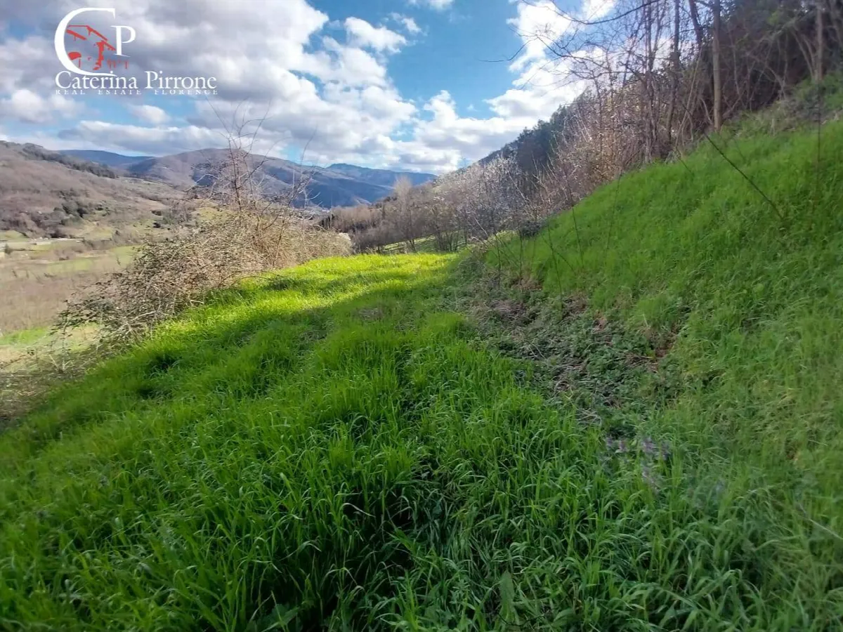 Rustico/Casale in vendita a Dicomano - foto 5