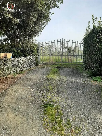 Rustico/Casale in vendita a Rosignano Mari... - foto 6
