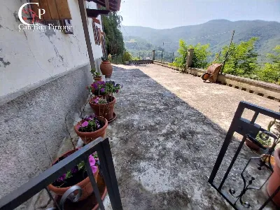 Rustico/Casale in vendita a Londa - foto 3