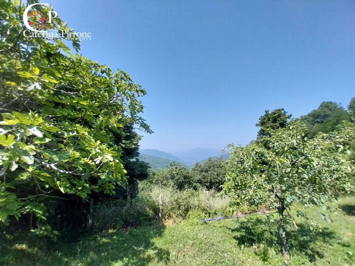 Rustico/Casale in vendita a Londa - foto 4