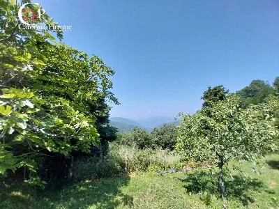 Rustico/Casale in vendita a Londa - foto 4