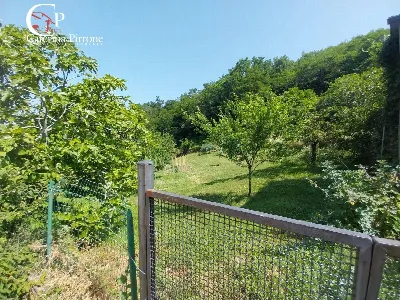 Rustico/Casale in vendita a Londa - foto 6