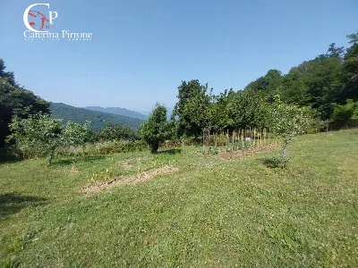 Rustico/Casale in vendita a Londa - foto 7