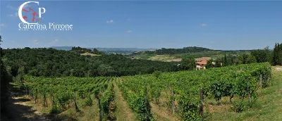 Villa in vendita a Dicomano - foto 7
