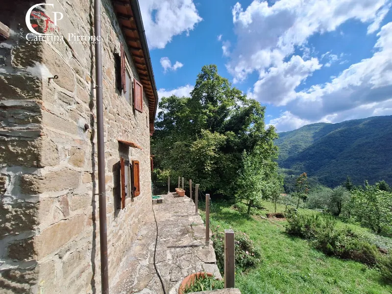 Rustico/Casale in vendita a Londa - foto 1