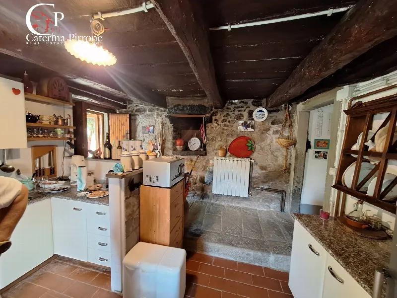 Rustico/Casale in vendita a Londa - foto 3
