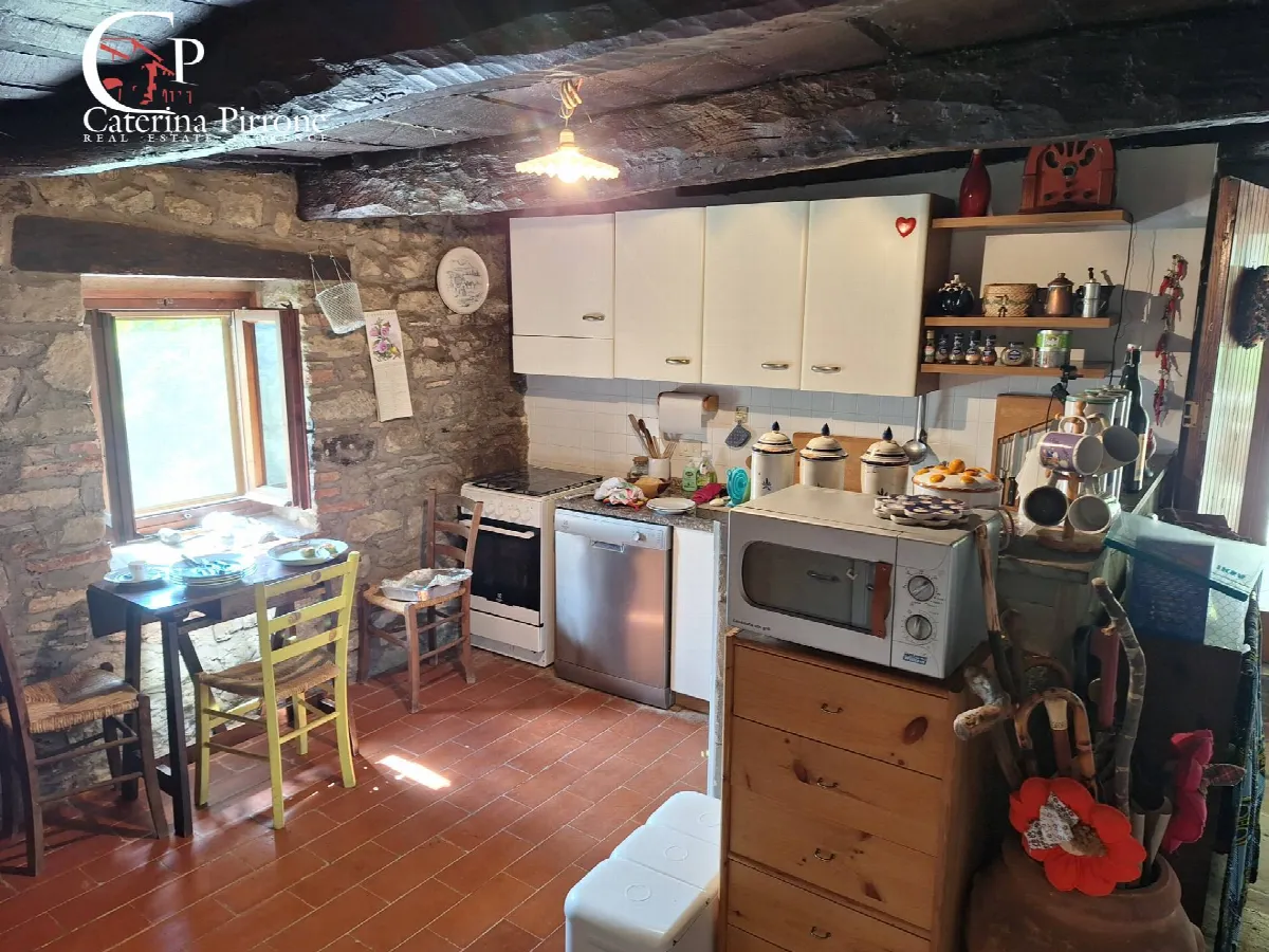 Rustico/Casale in vendita a Londa - foto 5