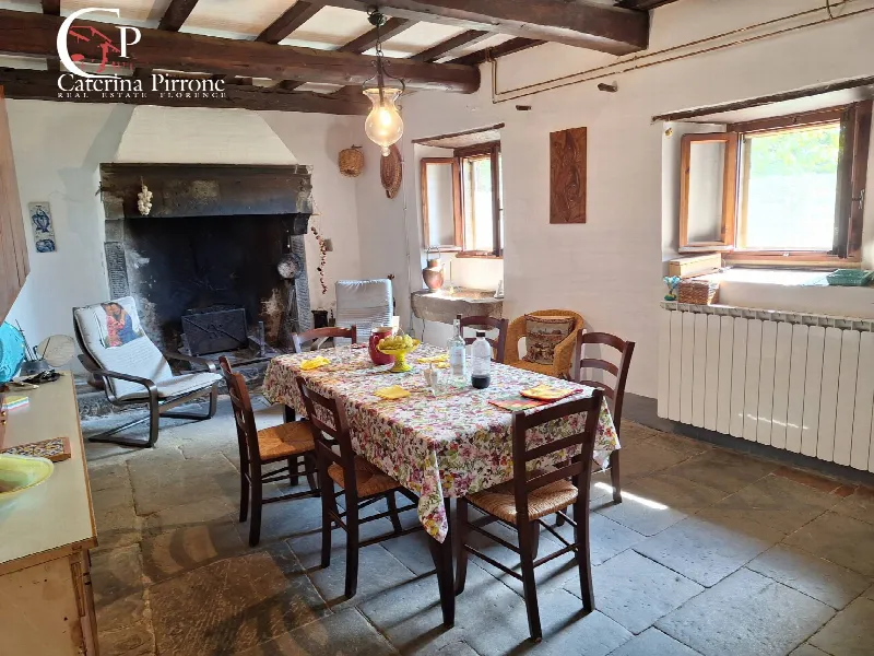 Rustico/Casale in vendita a Londa - foto 6